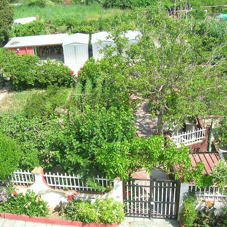 Torrenova  Villa Dei Principi المظهر الخارجي الصورة